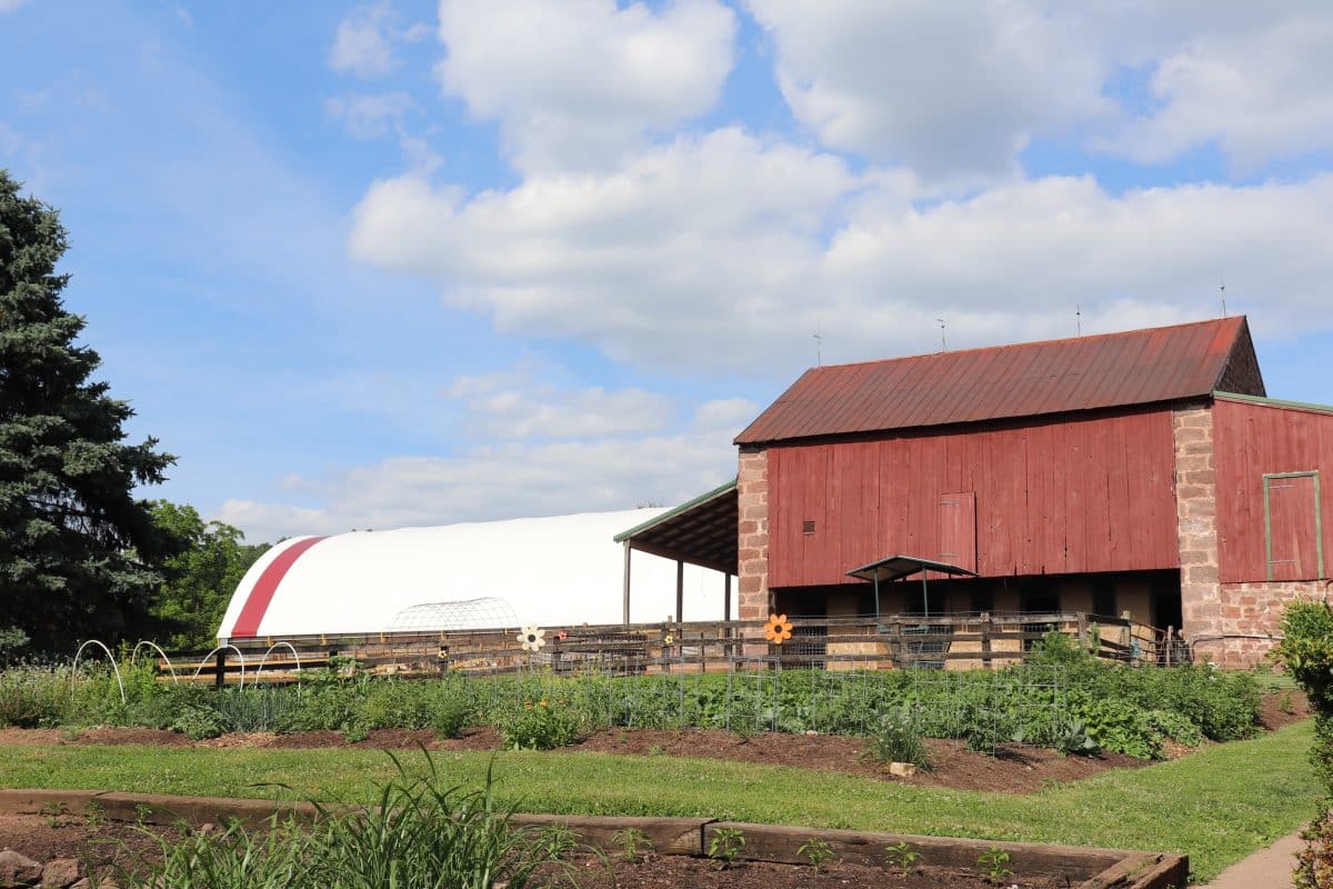 Halal Farm | Come Visit Us 1 Halal Farm Near NYC