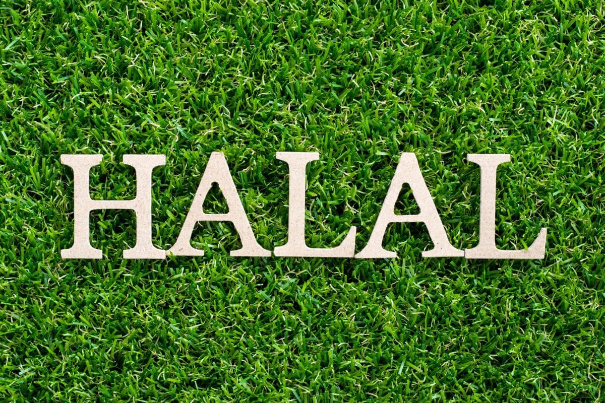 Halal Meat Farm Near Me