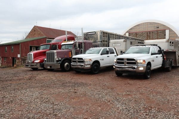 Truck 2 1000