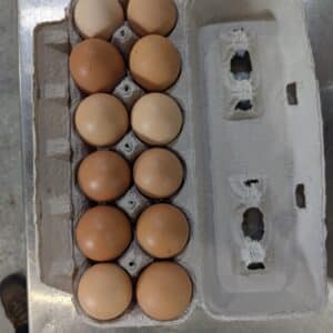 Eggs