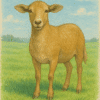 hair lamb